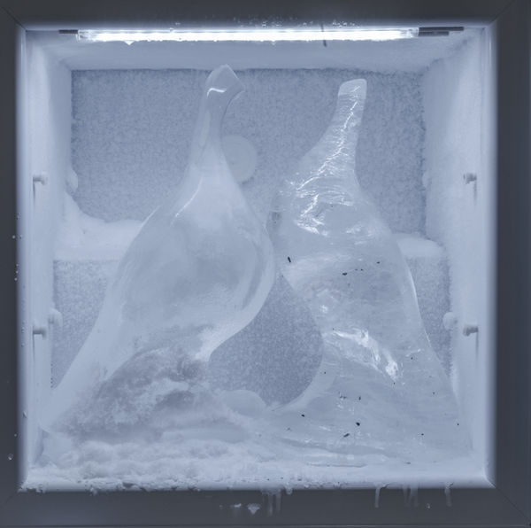 Monsieur Zohore, Snow Birds, 2022