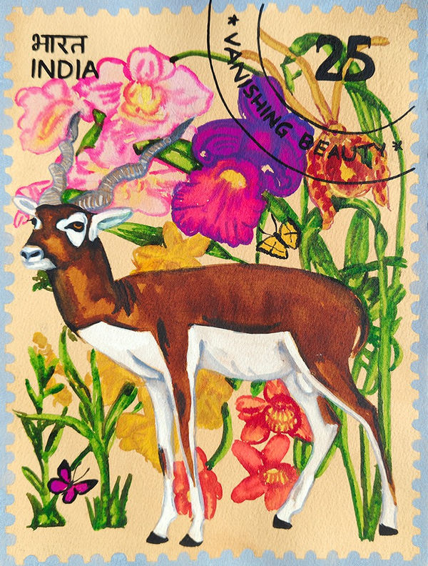 Manisha Agarwal, Untitled - 768