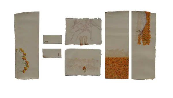 Keerti Pooja, Notes on Fragility (Set of Seven)