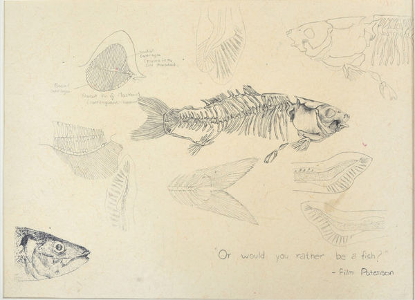 Krupali Kathiriya, S3