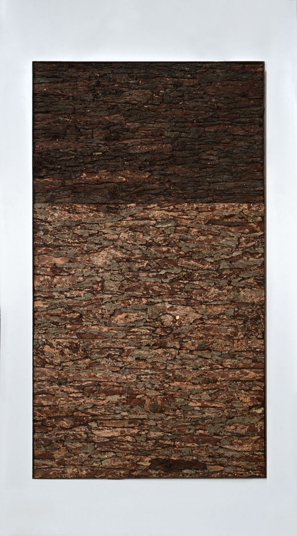 Shailesh Mohan Ojha, Flatness, 2024