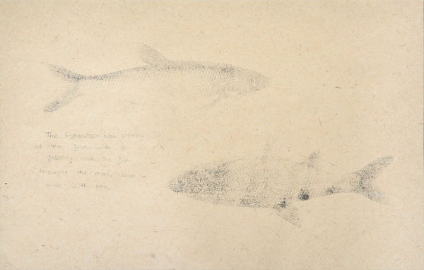 Krupali Kathiriya, S7