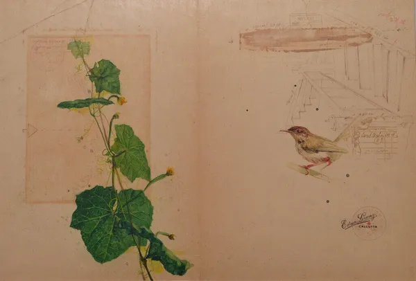 Avijit Dutta, Counter Point, NA