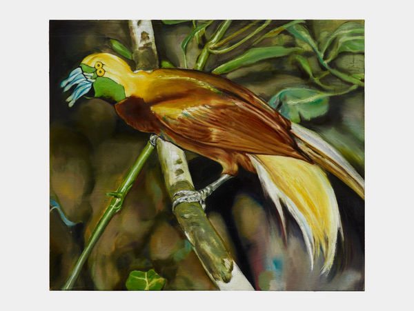 Léopold Rabus, oiseau a, 2022