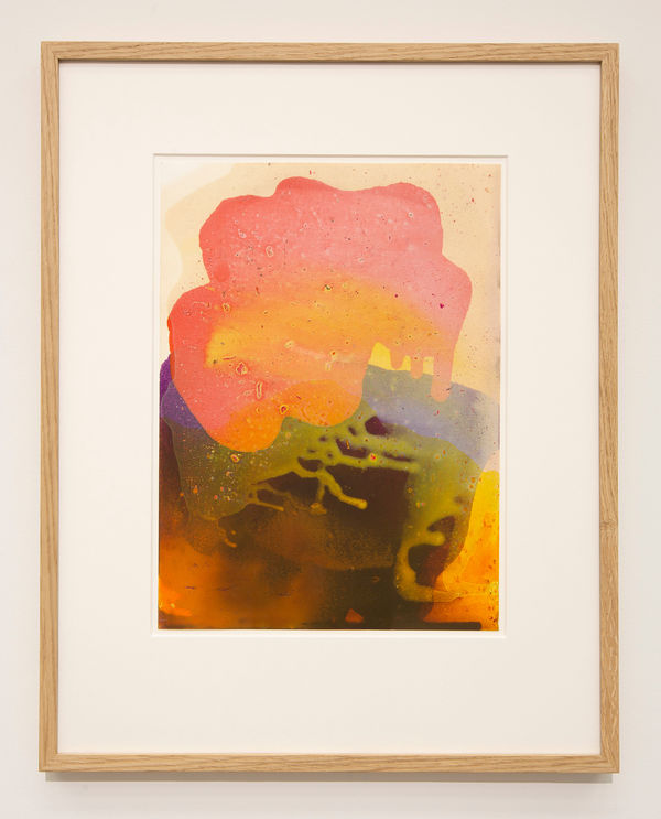 Thorbjørn Bechmann, Untitled (#2406-01), 2023