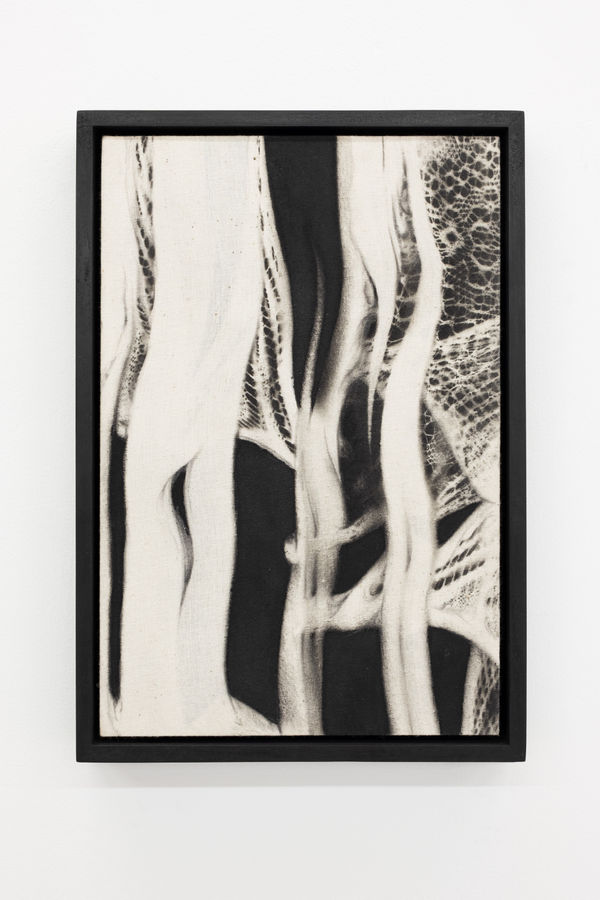 Martín Soto Climént, Silent Phantogram, 2021