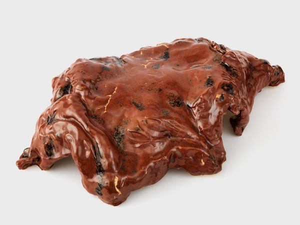 Simone Fattal, Turtle, 2017