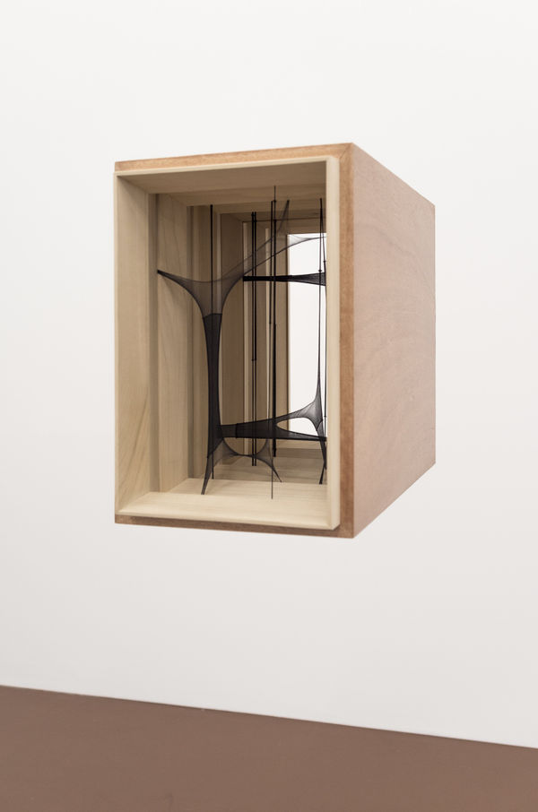 Martín Soto Climént, Hidden Forest, 2019