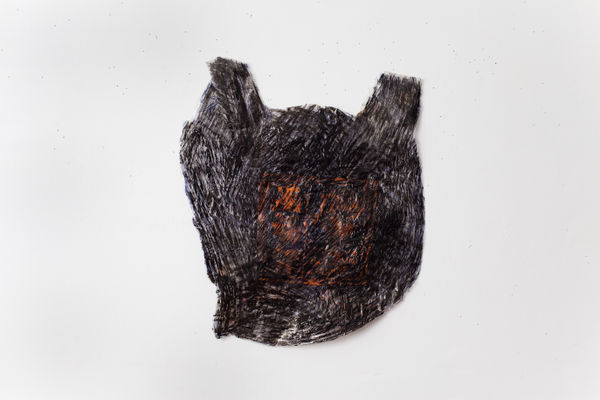 J Stoner Blackwell, Plastic Basket (Incy Chinese), 2013