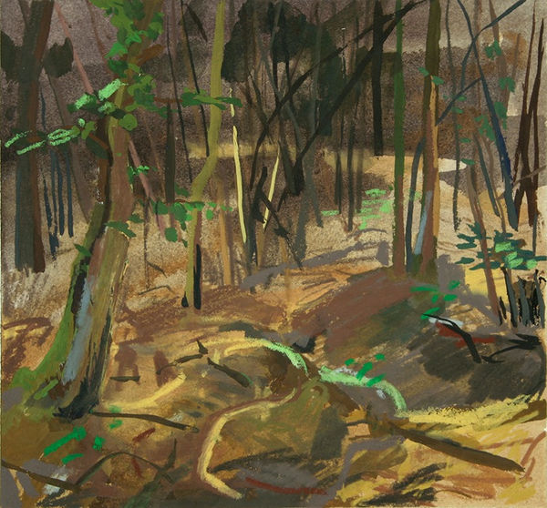 Claire Sherman, Trail, 2007