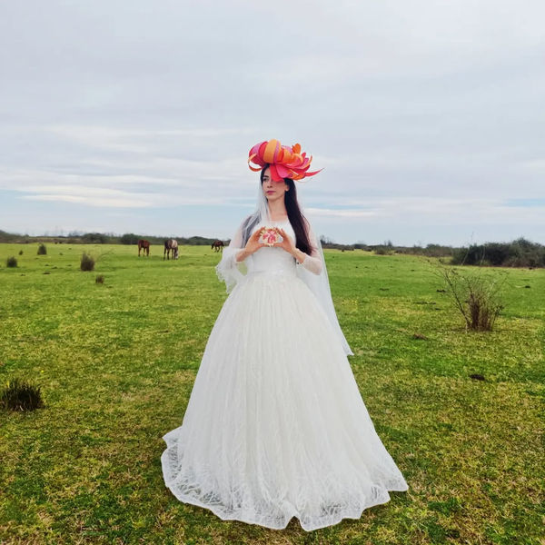 Sara Rahanjam, Hanging Garden Series, 2024