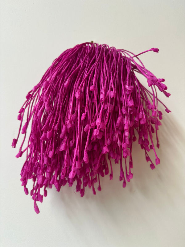 Emma Davies, Burst I, 2024