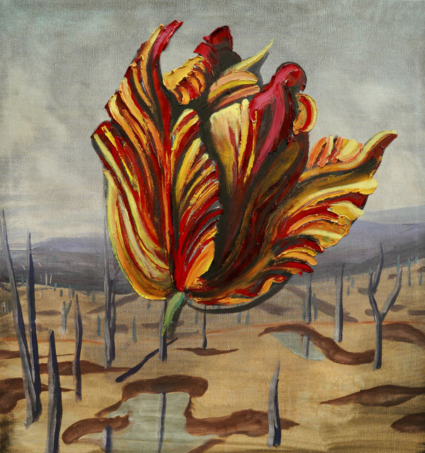 Baden Croft, Colonial Bloom II, 2024