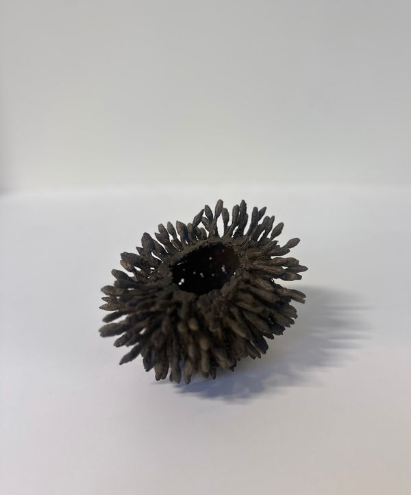 Emma Davies, Seastone Bloom Urchin, 2025