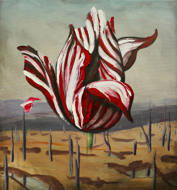 Baden Croft, Colonial Bloom I, 2024