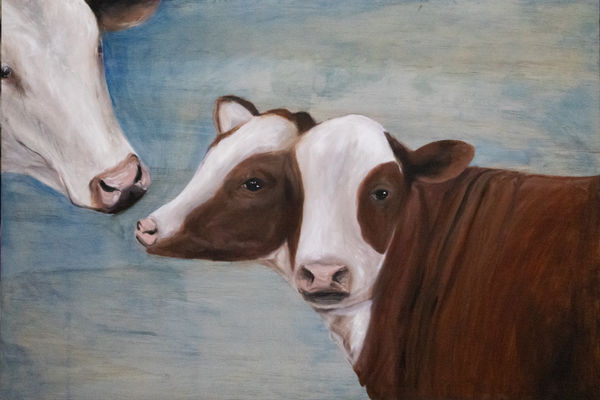 Grace Murphy, Two-Headed Calf , 2024