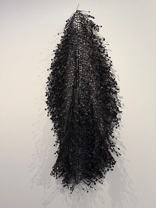 Emma Davies, Vertebrae I, 2025