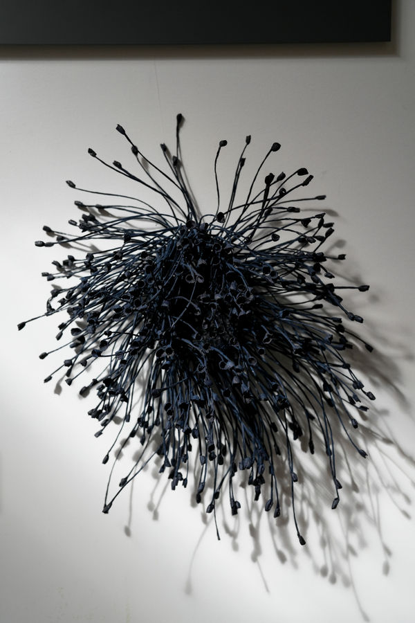 Emma Davies, Bloom, 2024