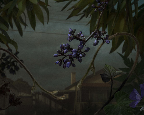 Daniel Shipp, Residential Embankment, 2014