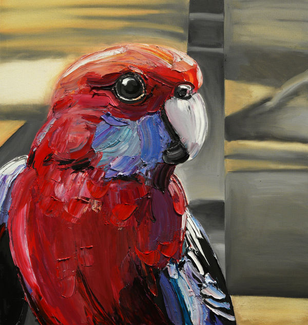 Baden Croft, Crimson Rosella, 2024