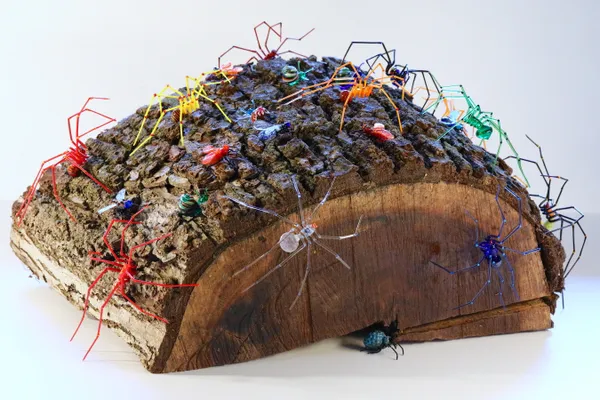 Elijah Schwartz, Mother Log, 2020