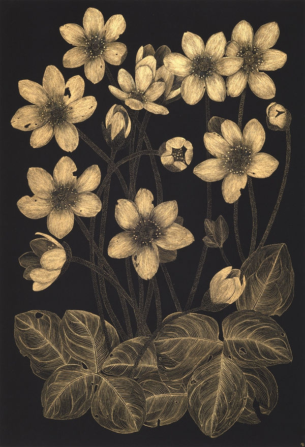 Margot Glass Wild Anemone, 2024 30 x 20.5 inches (unframed), 33.5 x 24 inches (framed)