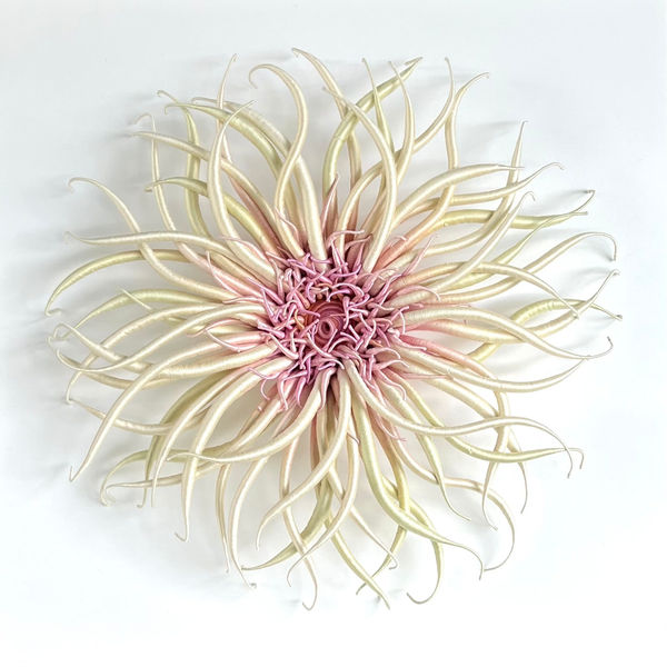 Catherine Latson, Specimen 45, 2025