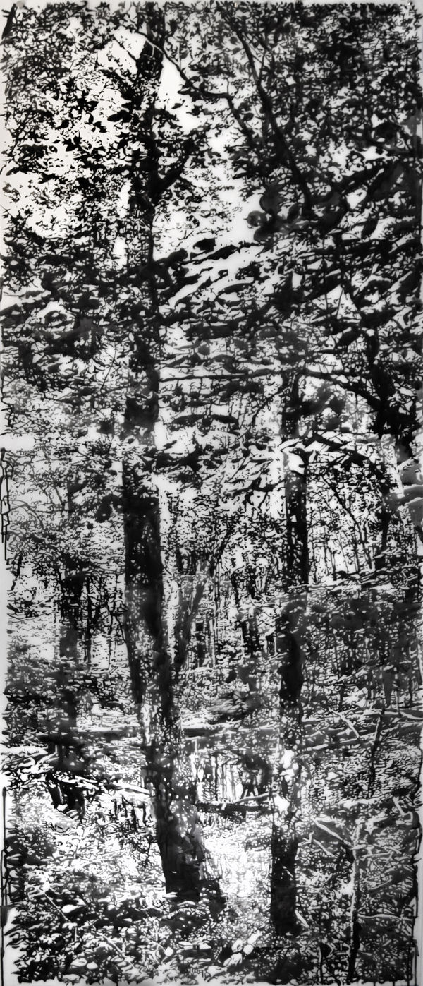 Andrea Kantrowitz, Two Trees, 2024