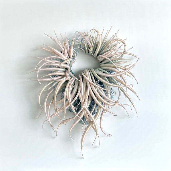 Catherine Latson, Specimen 44, 2025