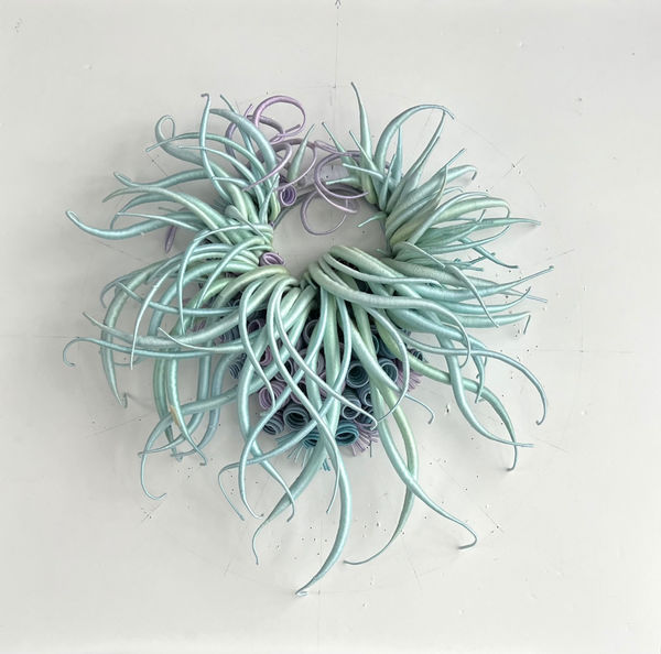 Catherine Latson, Specimen 42, 2025