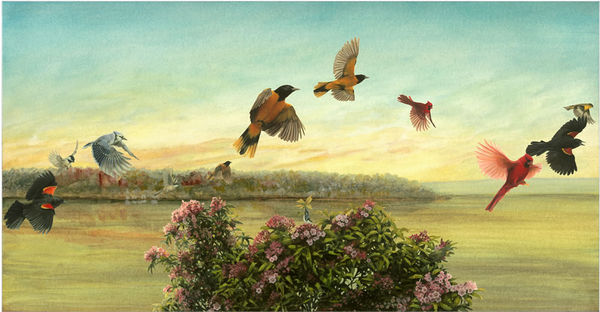 Holly Sears, Songbirds, 2012