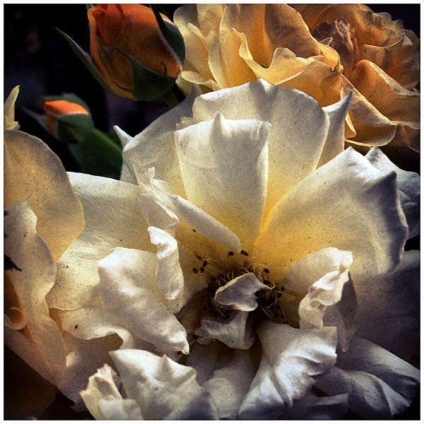 Additional Inventory, John Arsenault, 3:34 pm, 2014