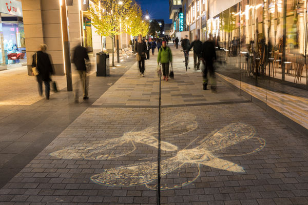 Kerry Lemon, Lepidoptera