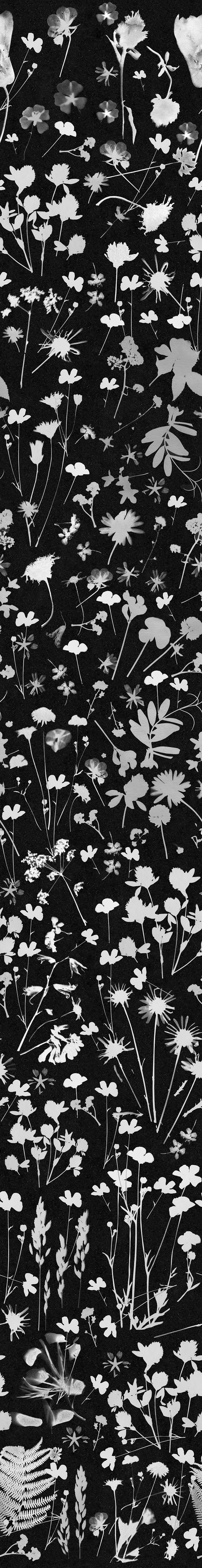 Kerry Lemon, Railing