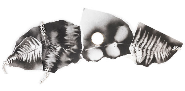 Kerry Lemon, Parched