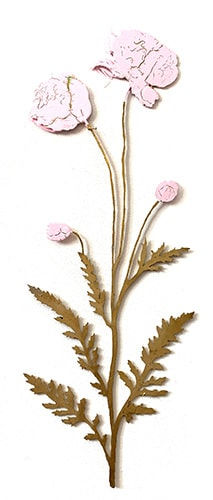 Kerry Lemon, Hopefully Devoted