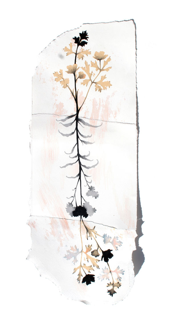 Kerry Lemon, Prosper