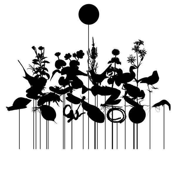 Kerry Lemon, EARLY SUN