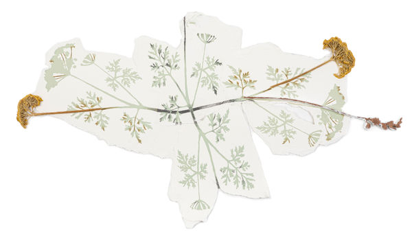 Kerry Lemon, Forever