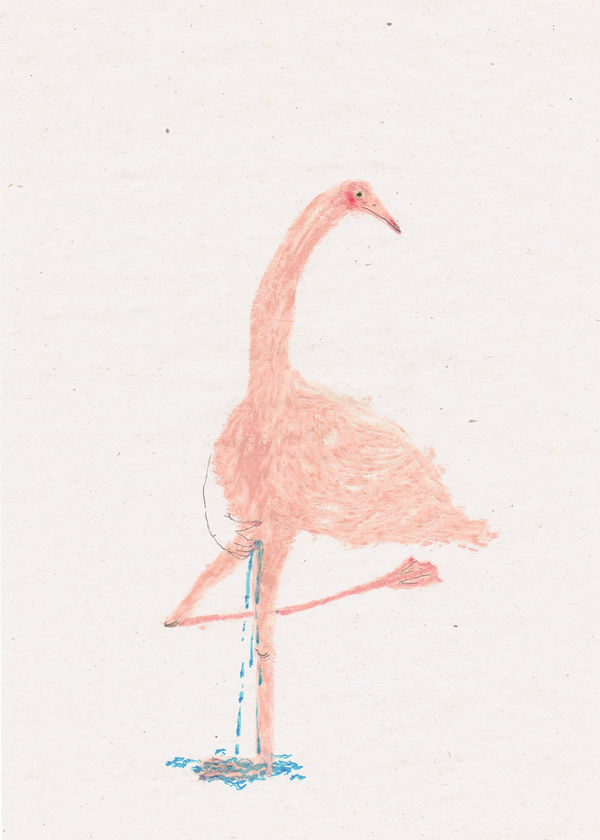 Clara Spilliaert, Untitled, 2021