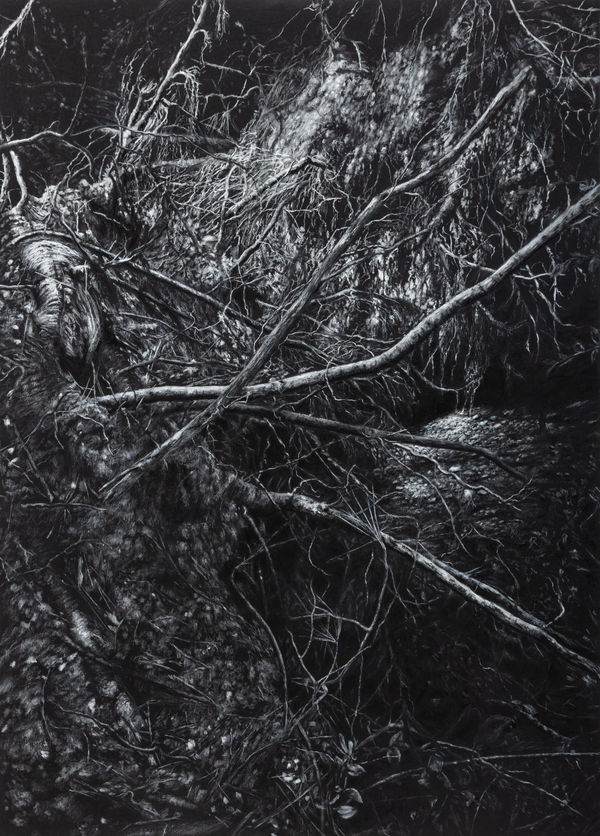 Javier Pérez, El Desamparo I, 2020