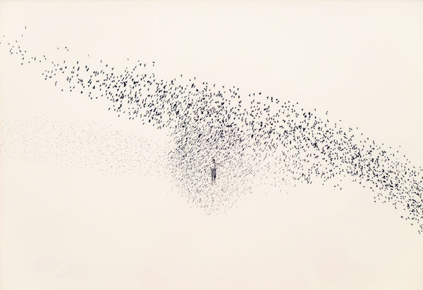 Fabien Mérelle, Murmuration, 2024