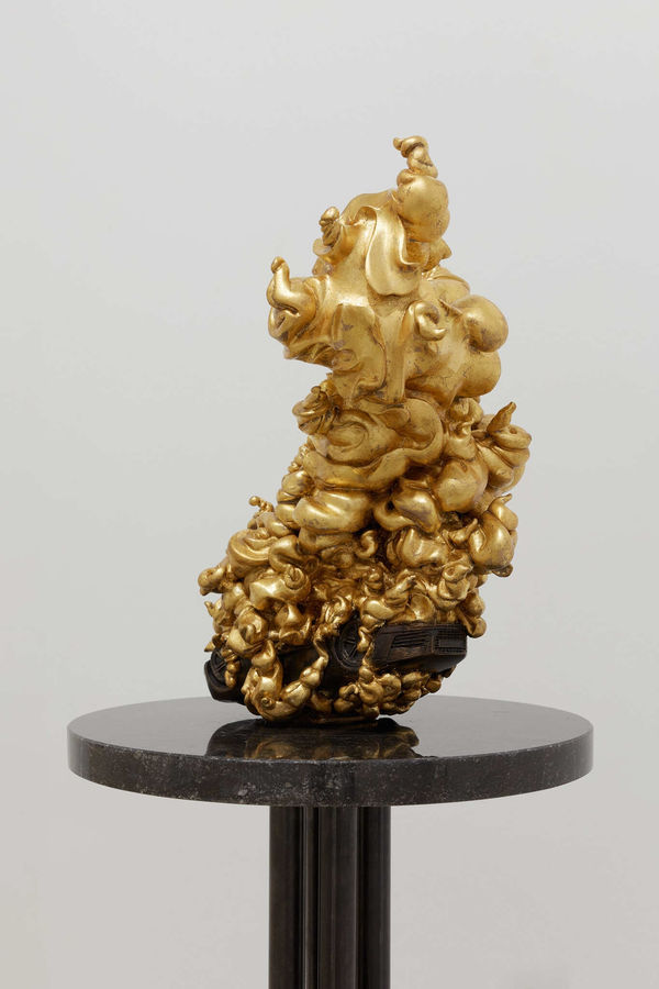 Koen Theys, Burning Police Car, 2021-2022