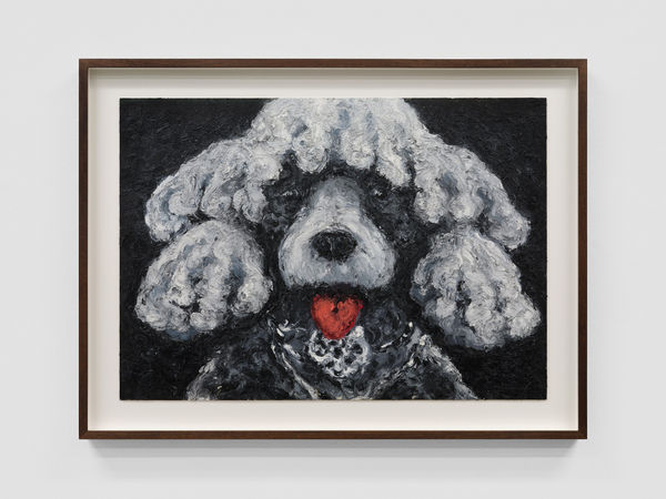 Koen Theys, The Fan, 2025