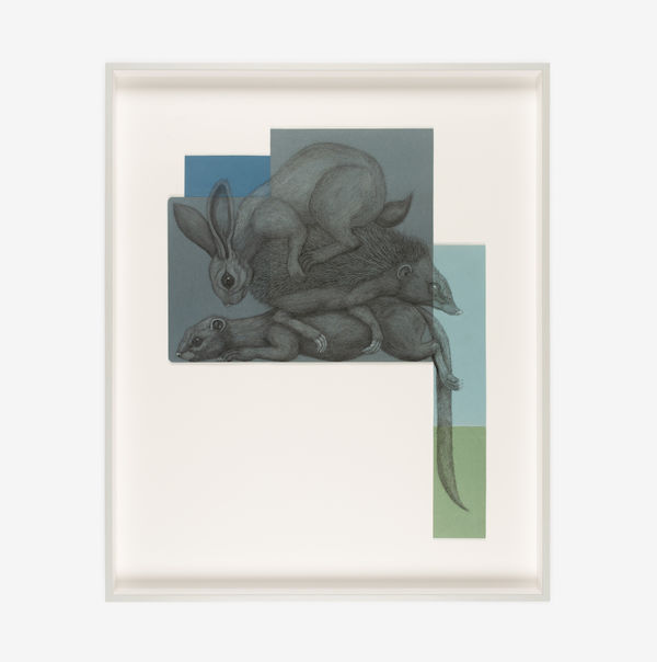 ROA, COMPOSITION: SYLVILAGUS, ERINACEINAE, MUSTELA, 2021