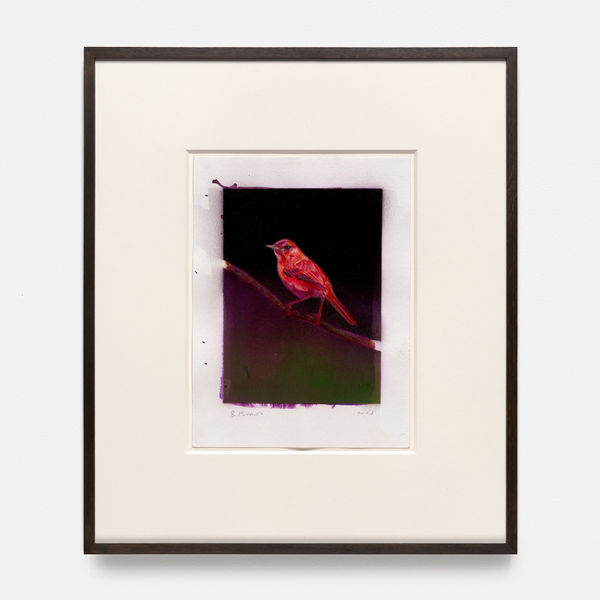 Benjamin Moravec, Untitled, 2023