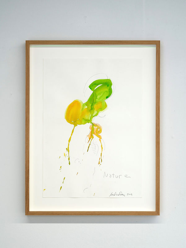 Lois Weinberger, Nature, 2019