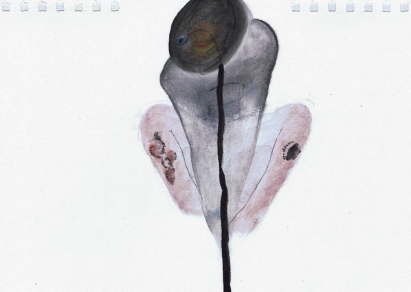 Clara Spilliaert, Untitled, 2016