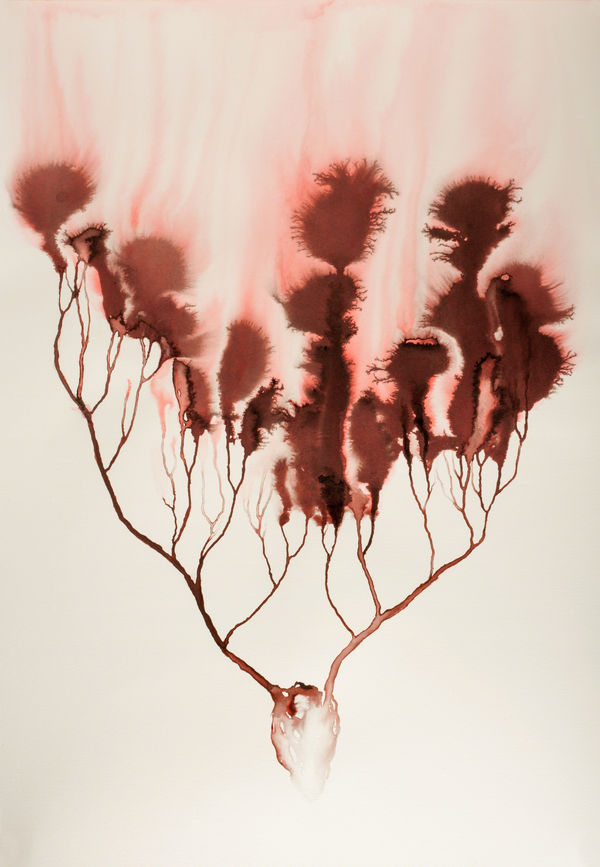 Javier Pérez, Fuentes de vida XIII, 2016