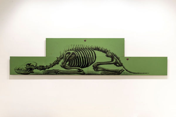 ROA, NAYA | Wolf, 2019